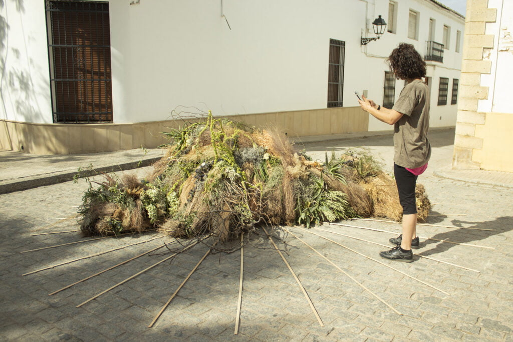 Calles en flor