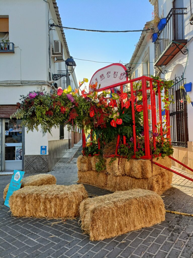 calles en flor
