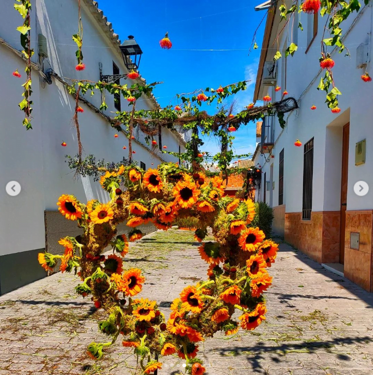 calles en flor