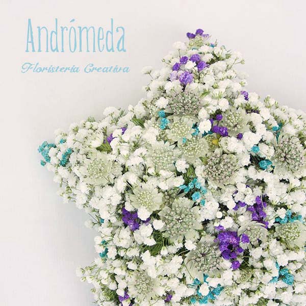 estrella de flores