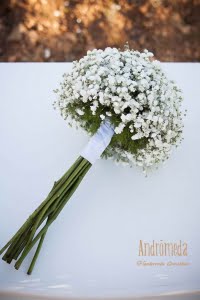 Ramo de novia de paniculata