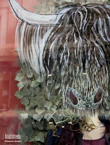 Premio Intramurs de Escaparates Grandes Espacios