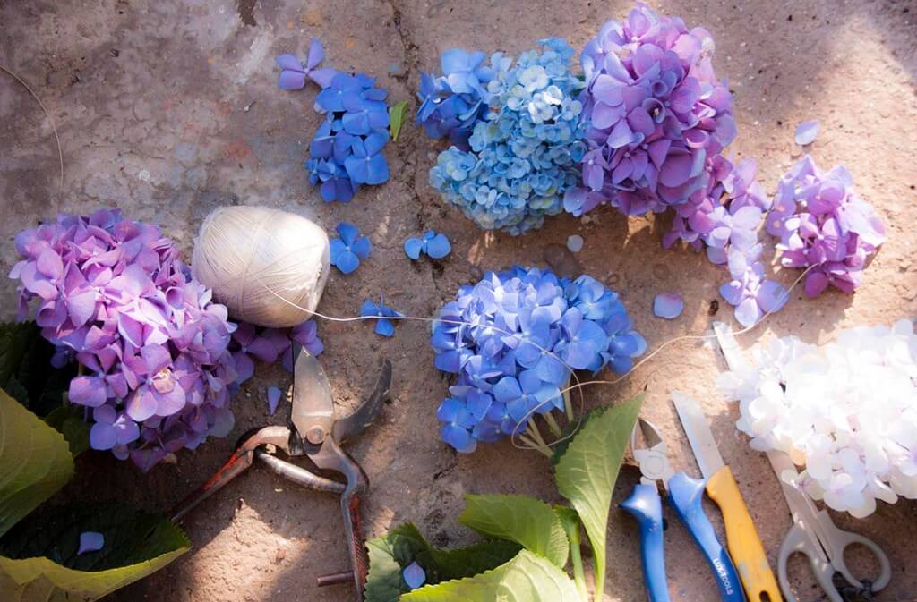 floristeria creativa