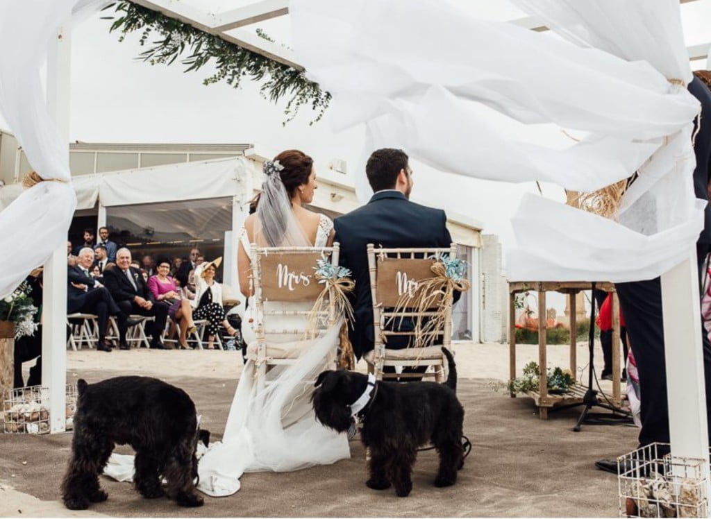 boda en la playa del saler