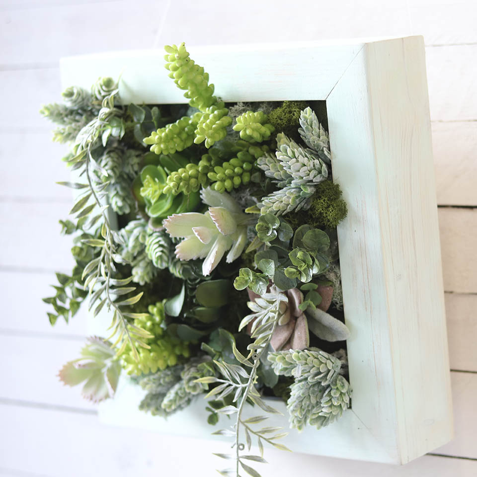 Cuadros de plantas dejardin vertical sin mantenimiento