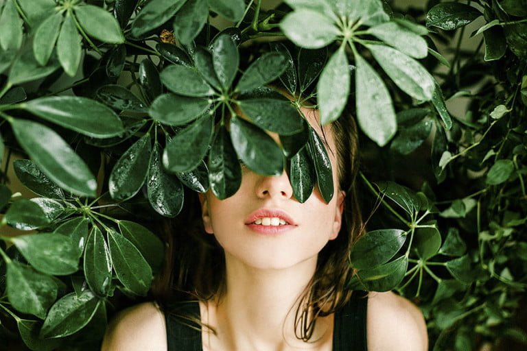 plantas antiestrés