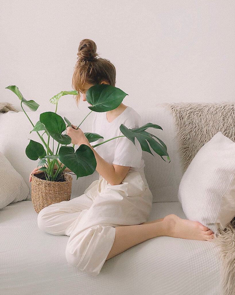 plantas antiestres