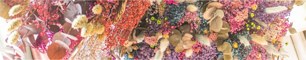 diferencia entre flores secas y preservadas