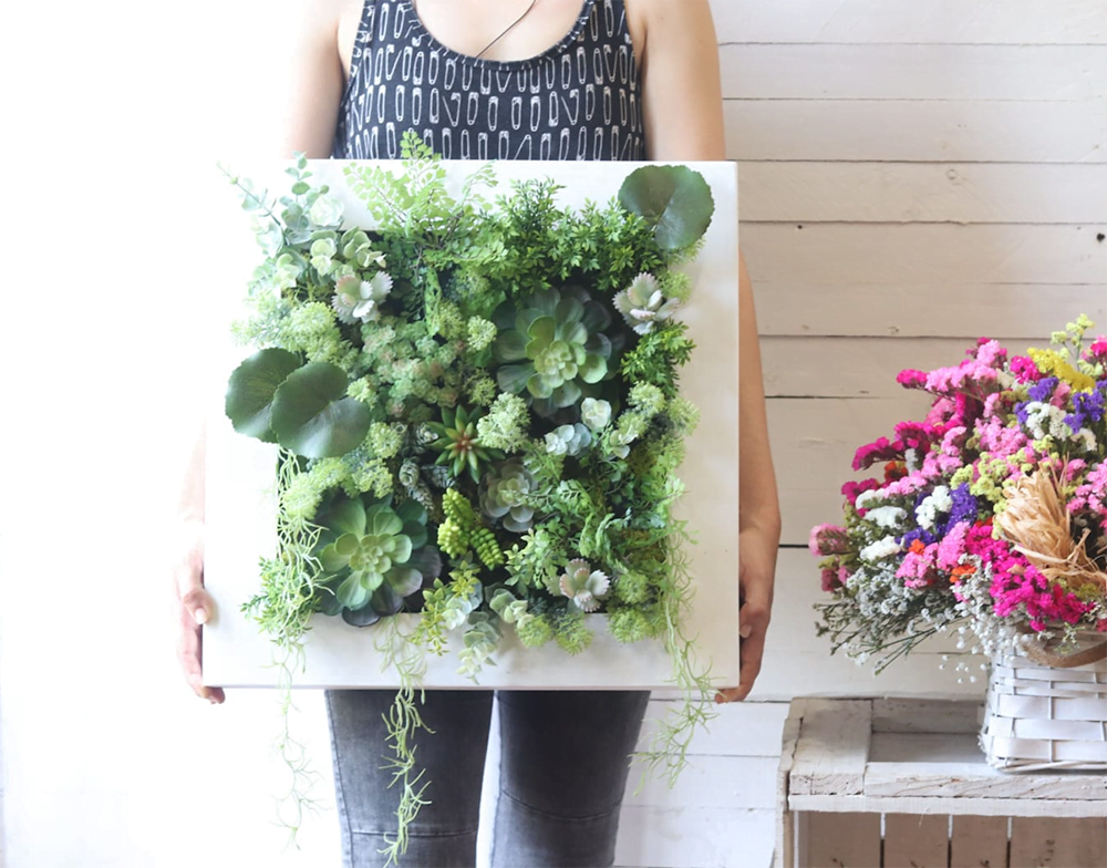 cuadros de plantas
