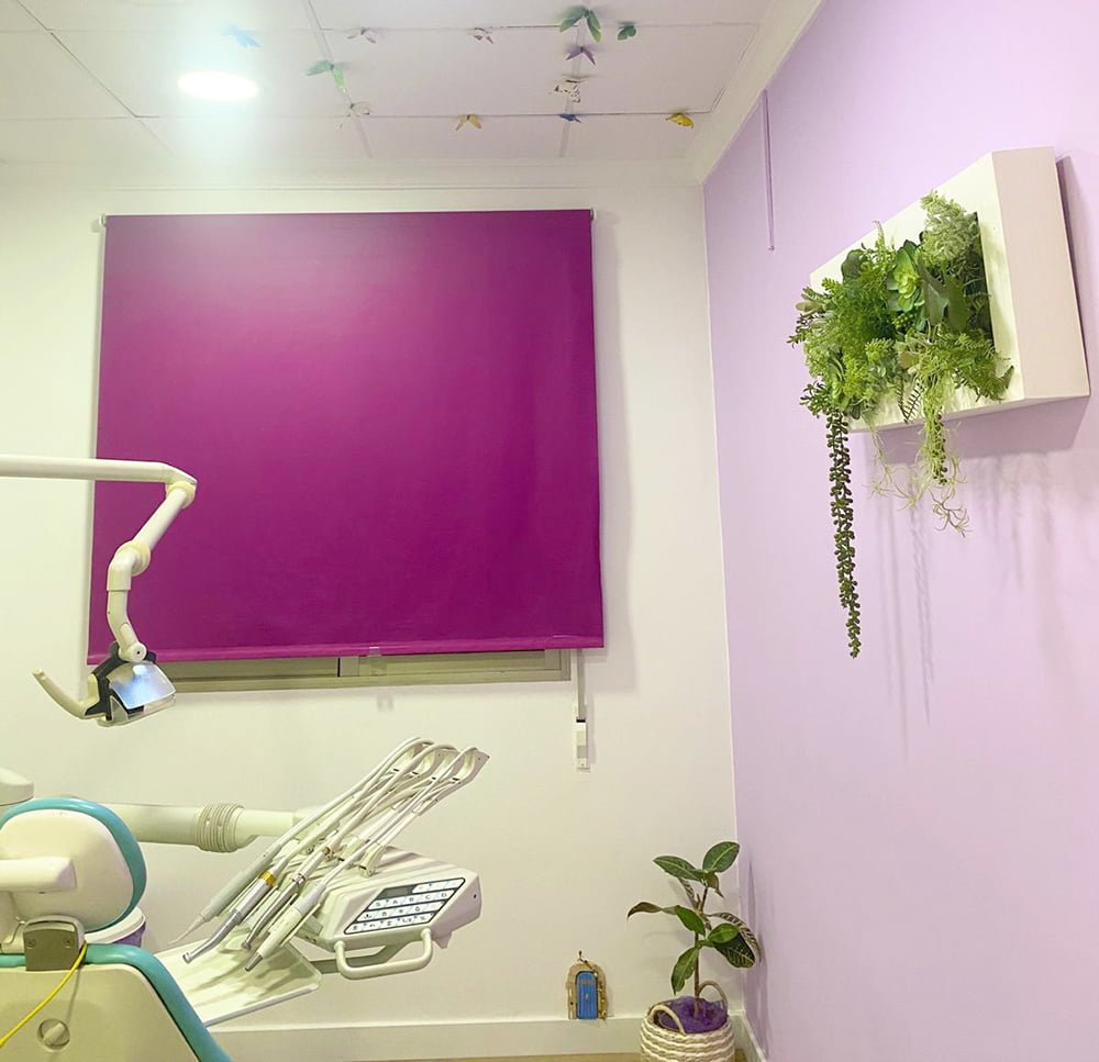 cuadros de plantas no perecederas para decorar locales