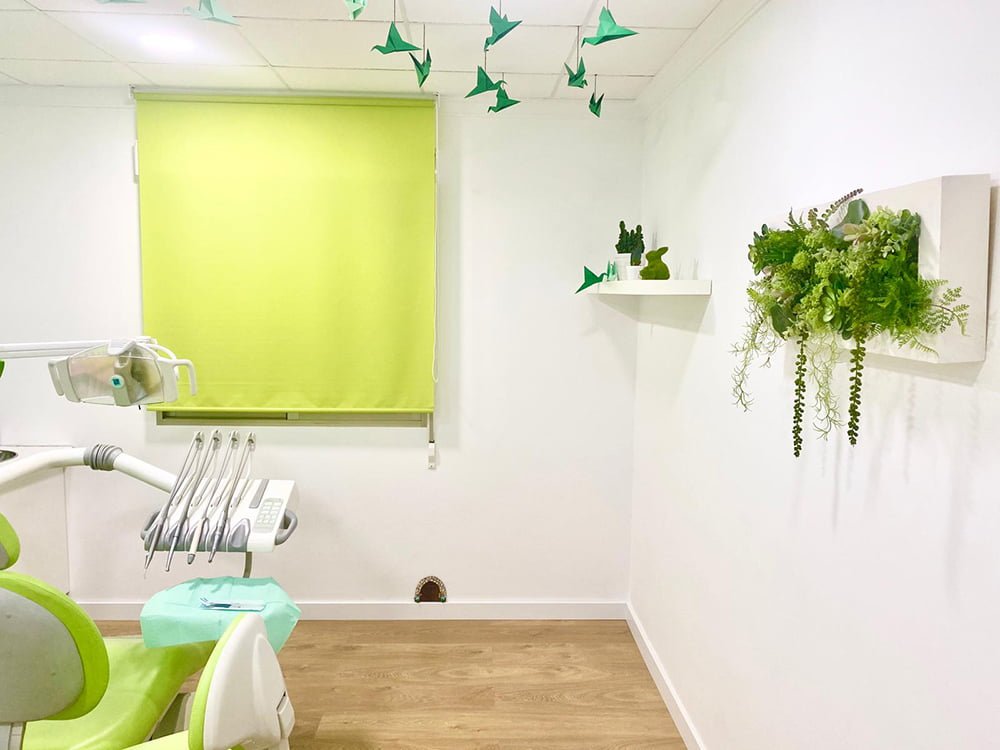 cuadros de plantas no perecederas para decorar locales
