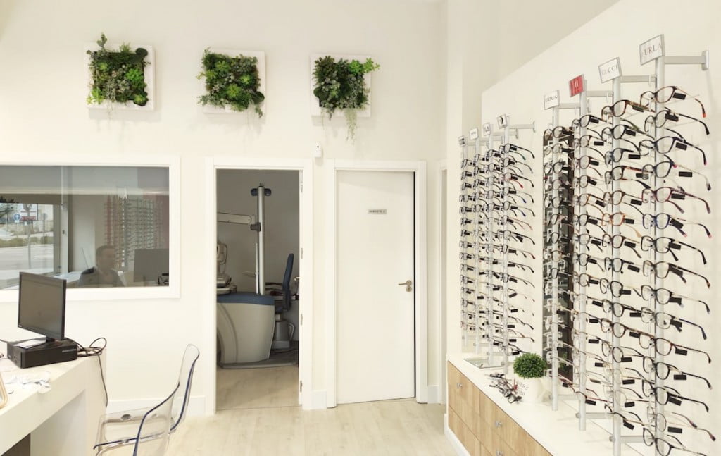decoración con cuadros de plantas