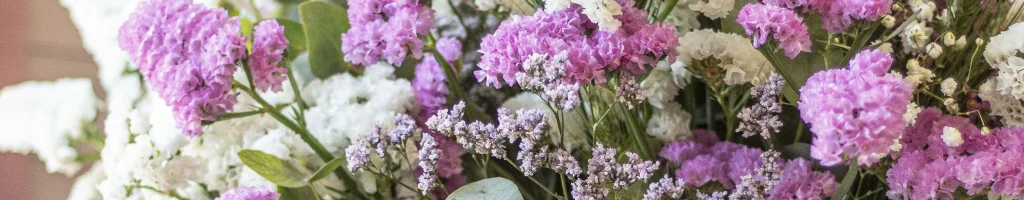 Cómo secar tu ramo de siemprevivas