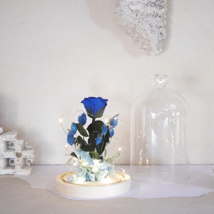 Enas Cuore Navy - Imagen 2