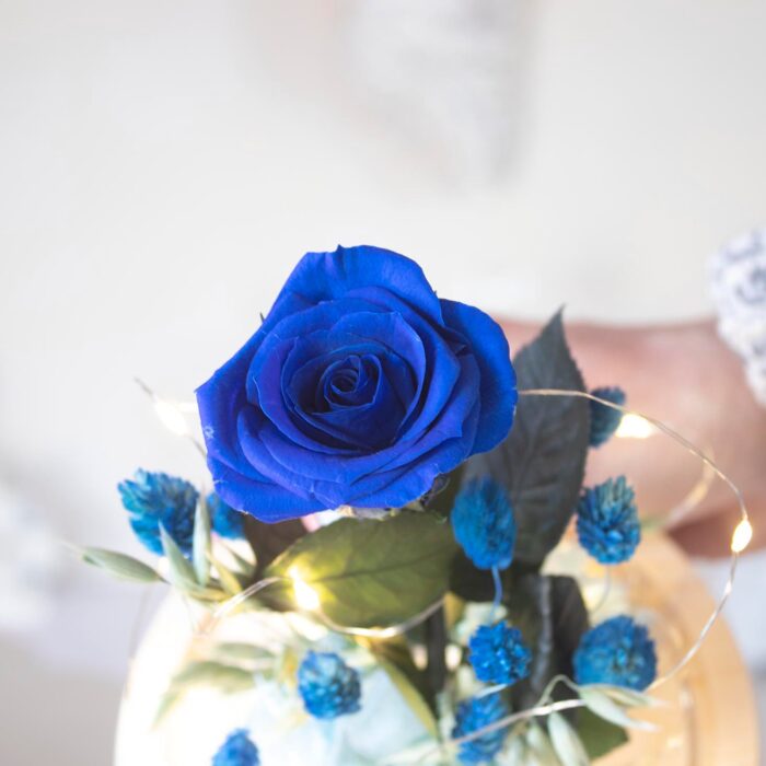 Enas Cuore Navy - Imagen 3