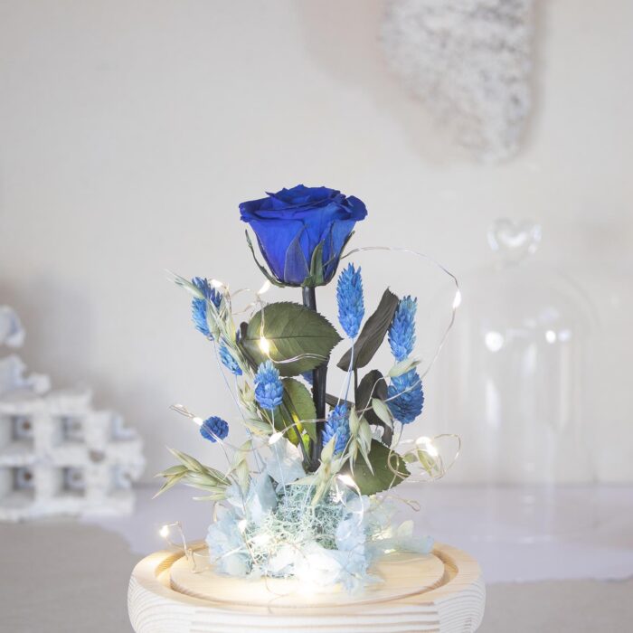 Enas Cuore Navy - Imagen 4