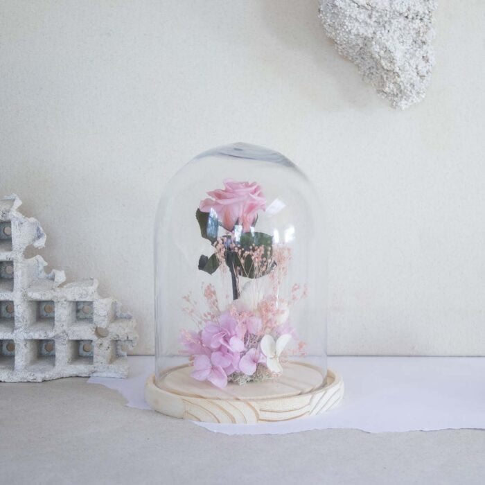 Cúpula_rosa_preservada_rosa