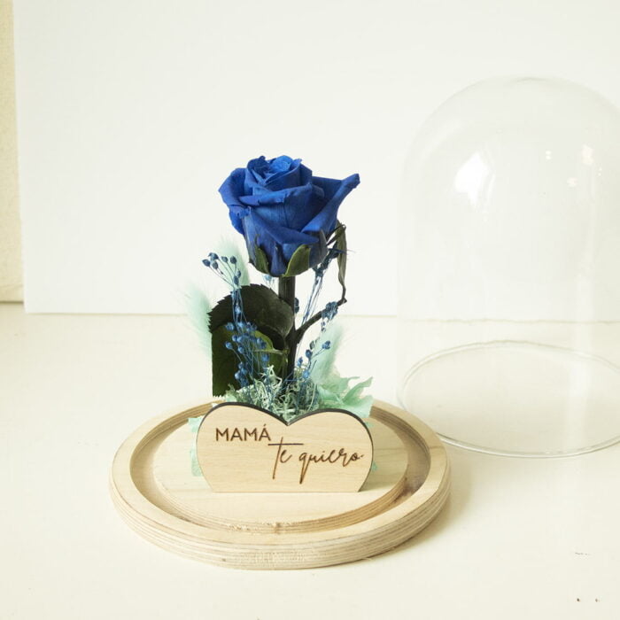 cupula mini mama tq azul