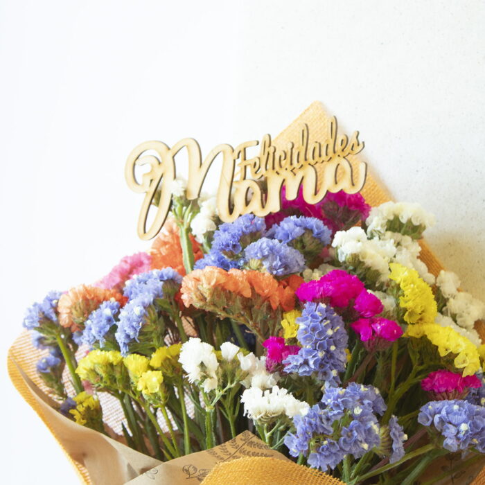 FELICIDADES_RAMO_ANDROMEDA_FLORISTERIA