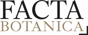 Logotipo de Facta Botanica, marca de diseño floral artístico con flores secas y preservadas